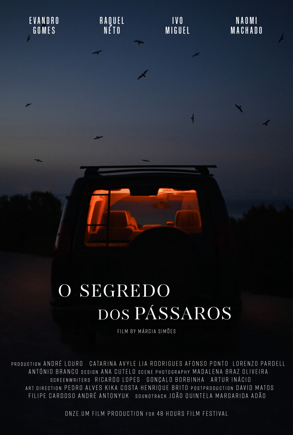 Filmposter for O segredo dos Pássaros